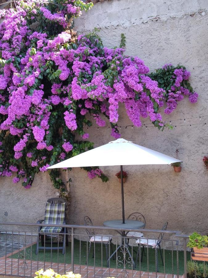 Il Giardino Di Laura Apartment Toscolano Maderno Luaran gambar